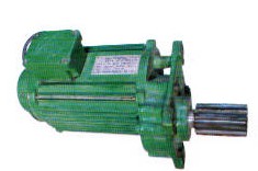 進(jìn)口鞍座電機(jī)